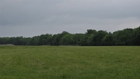 Celeste, TX 75452 Fannin County