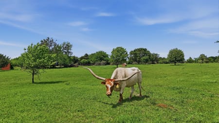 Pottsboro, TX 75076 Grayson County