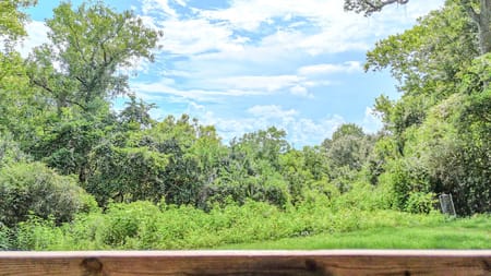 Dayton, TX 77535 Liberty County