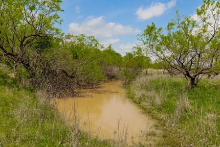 Ballinger, TX 76882 Runnels County