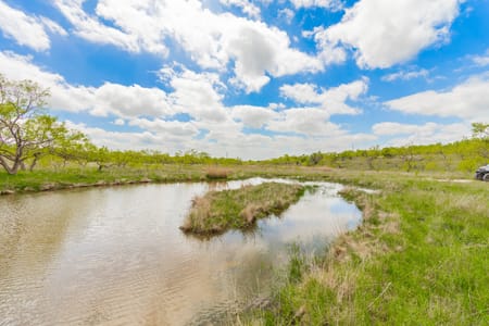 Ballinger, TX 76882 Runnels County