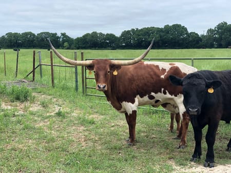 Godley, TX 76044 Johnson County