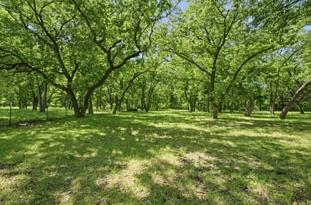 Howe, TX 75459 Grayson County