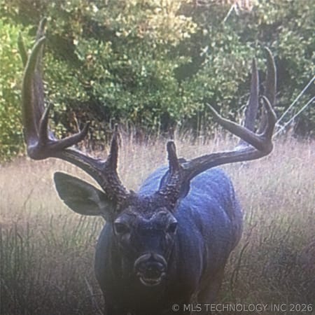Byng, OK 74820 Pontotoc County
