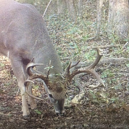 Byng, OK 74820 Pontotoc County