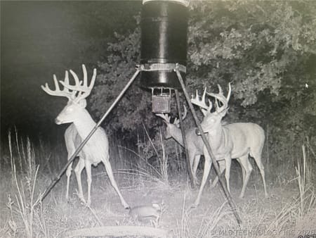 Byng, OK 74820 Pontotoc County