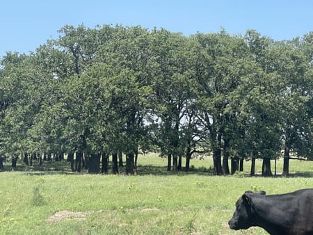 Bowie, TX 76240 Montague County