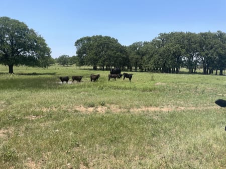 Bowie, TX 76240 Montague County