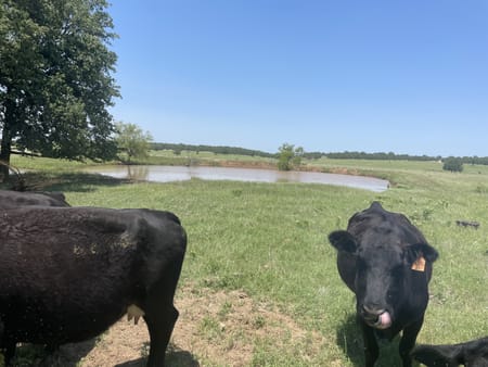 Bowie, TX 76240 Montague County