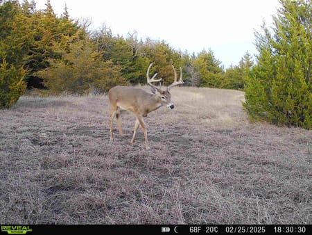 Bailey, TX 75413 Fannin County