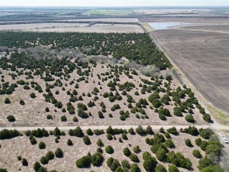 Bailey, TX 75413 Fannin County