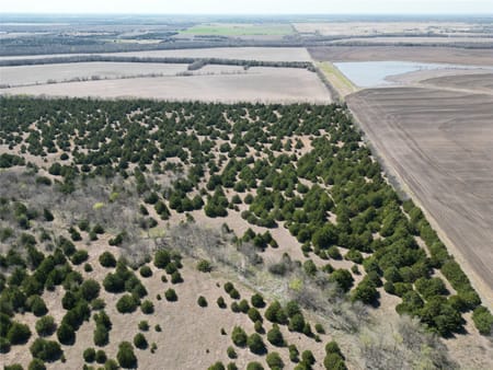 Bailey, TX 75413 Fannin County