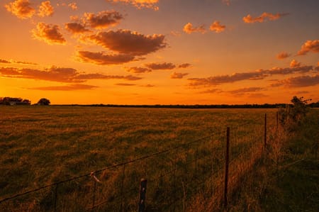 Rockwall, TX 75032 Rockwall County