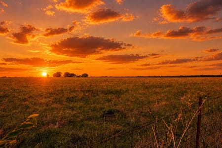 Rockwall, TX 75032 Rockwall County