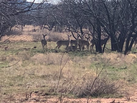 Abilene, TX 79602 Taylor County