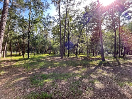 Winnsboro, TX 75494 Hopkins County