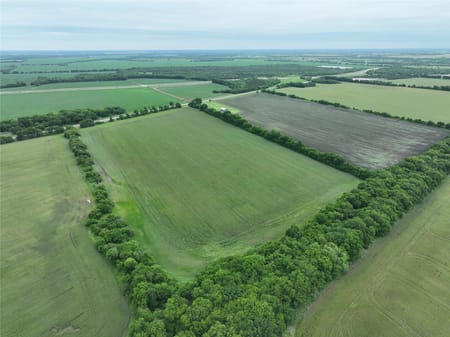 Honey Grove, TX 75446 Fannin County