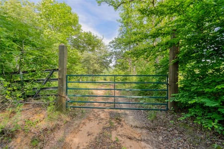 Linden, TX 75563 Cass County