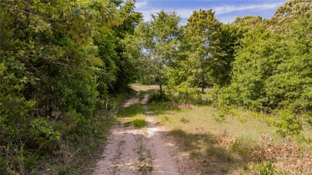 Linden, TX 75563 Cass County