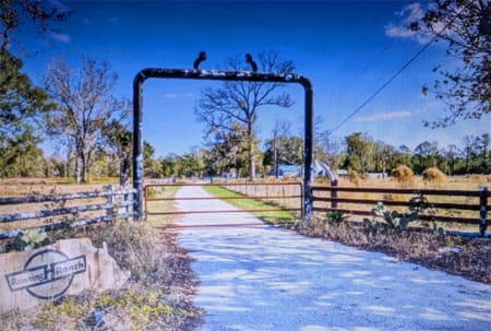 Conroe, TX 77306 Montgomery County