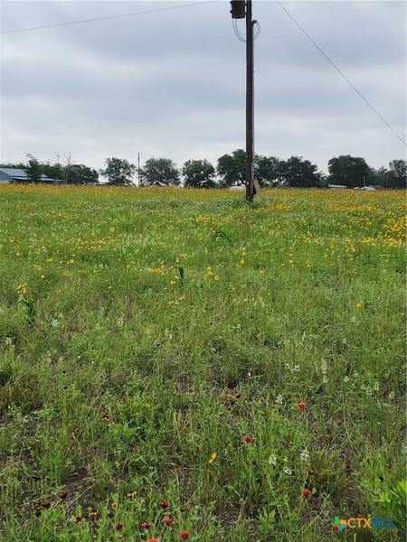 Stockdale, TX 78160 Wilson County