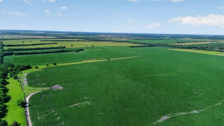 Greenville, TX 75401 Hunt County