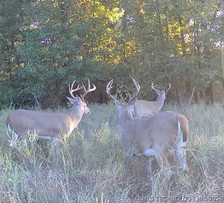Haskell, OK 74436 Muskogee County