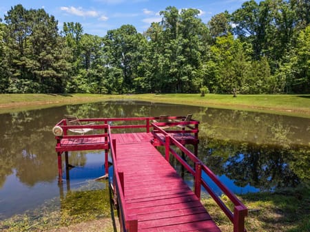 Avinger, TX 75630 Cass County