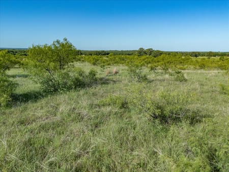 Nocona, TX 76255 Montague County