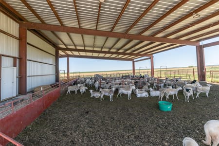 Lawn, TX 79530 Taylor County