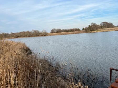 Whitewright, TX 75490 Grayson County