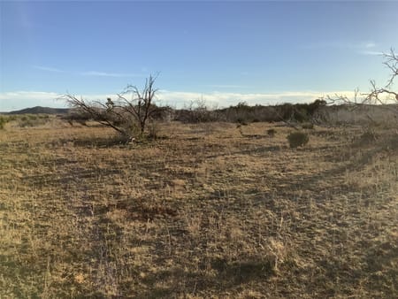 Merkel, TX 79536 Taylor County