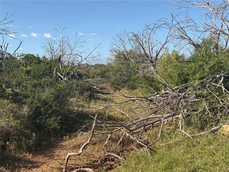 Merkel, TX 79536 Taylor County
