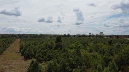 Garrison, TX 75946 Nacogdoches County