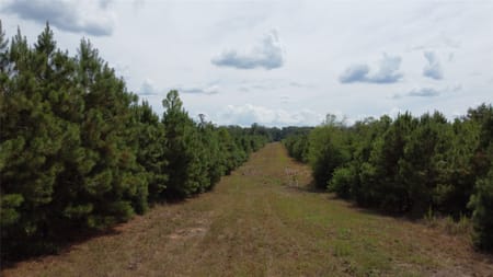 Garrison, TX 75946 Nacogdoches County
