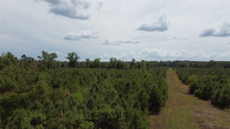 Garrison, TX 75946 Nacogdoches County