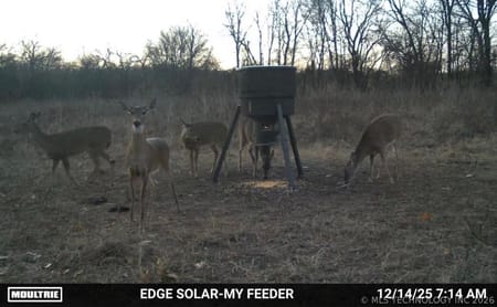 Madill, OK 73446 Marshall County