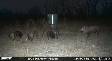 Madill, OK 73446 Marshall County