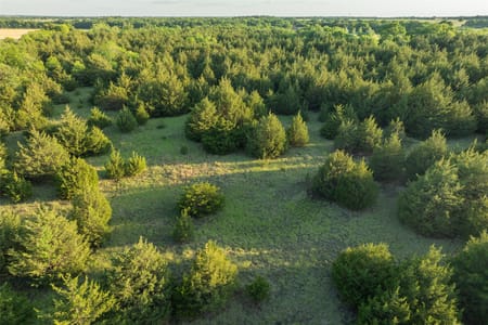 Celeste, TX 75423 Fannin County