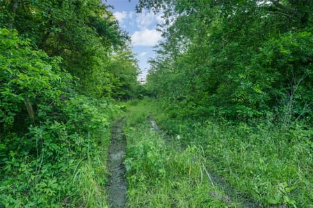 Celeste, TX 75423 Fannin County