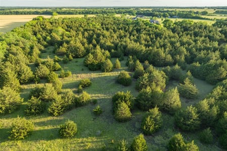 Celeste, TX 75423 Fannin County