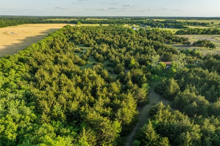 Celeste, TX 75423 Fannin County