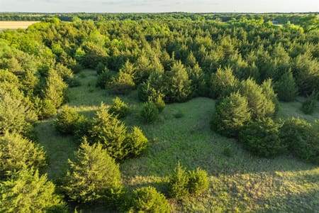 Celeste, TX 75423 Fannin County