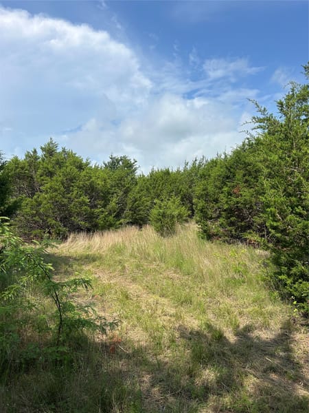 Cleburne, TX 76033 Johnson County