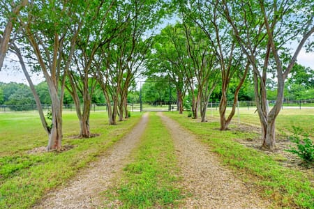 Wills Point, TX 75169 Van Zandt County