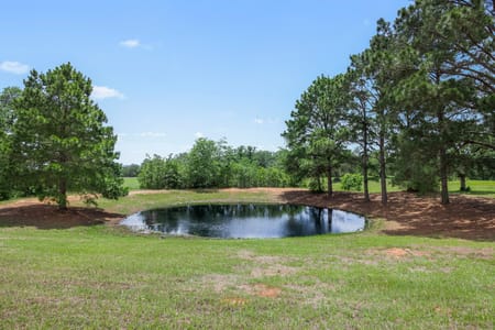 Fayetteville, TX 78940 Fayette County