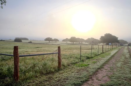 Cuero, TX 77954 DeWitt County