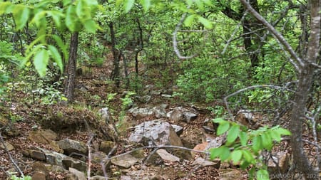Mannford, OK 74044 Creek County
