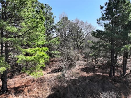 Eustace, TX 75124 Van Zandt County