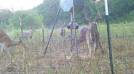 Sherman, TX 75092 Grayson County